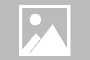 kaiyun-攻得很凶！小巴里·布朗半场13中5砍下15分1板2助2断